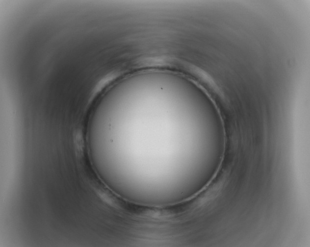 X0000111661218200907241145