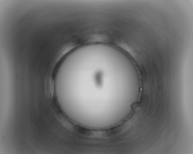 X0000111661219200907241145