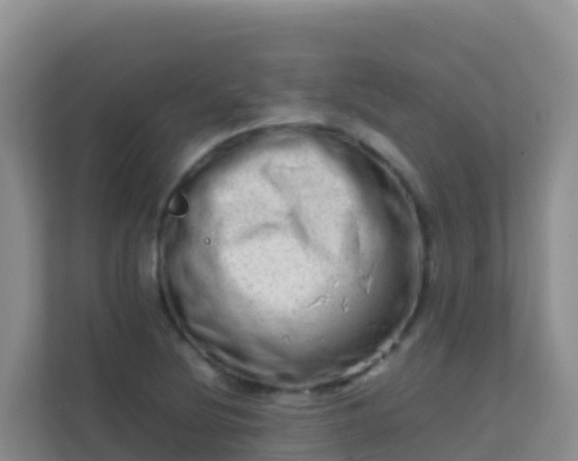 X0000111661220200907241145