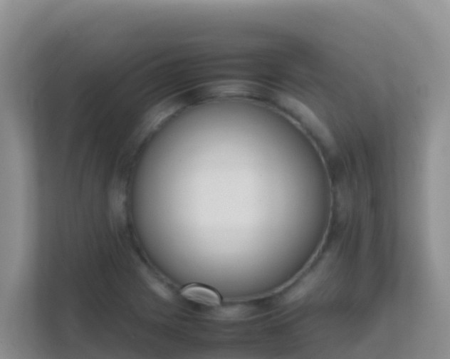 X0000111661225200907241145