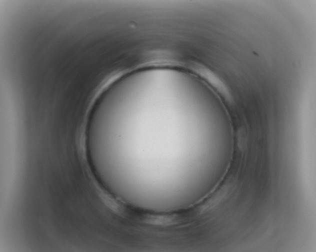 X0000111661229200907241145