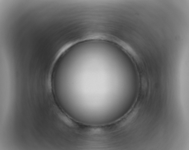 X0000111661230200907241145