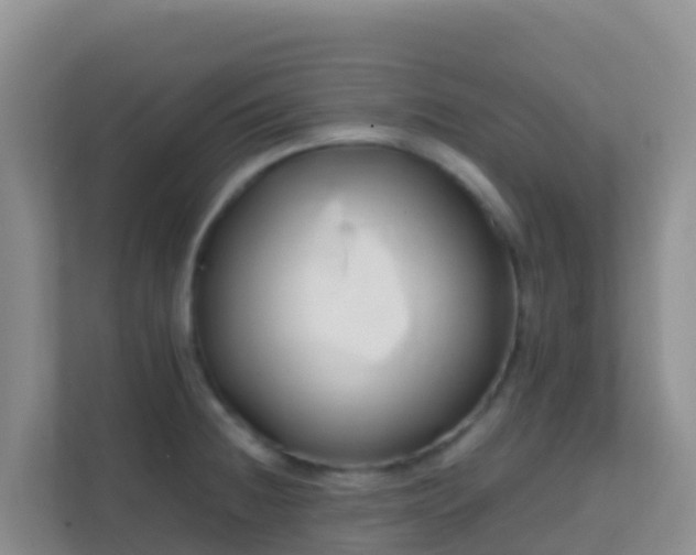 X0000111661236200907241145