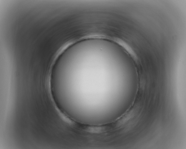 X0000111661237200907241145