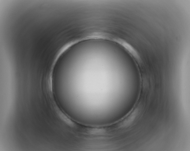 X0000111661238200907241145