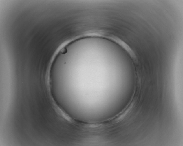 X0000111661240200907241145