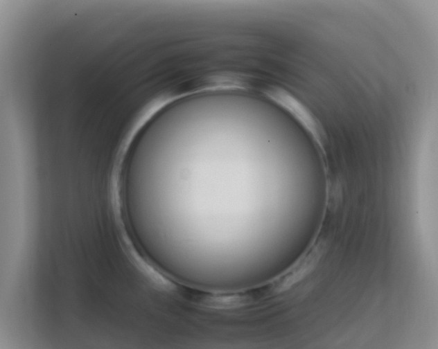 X0000111661243200907241145