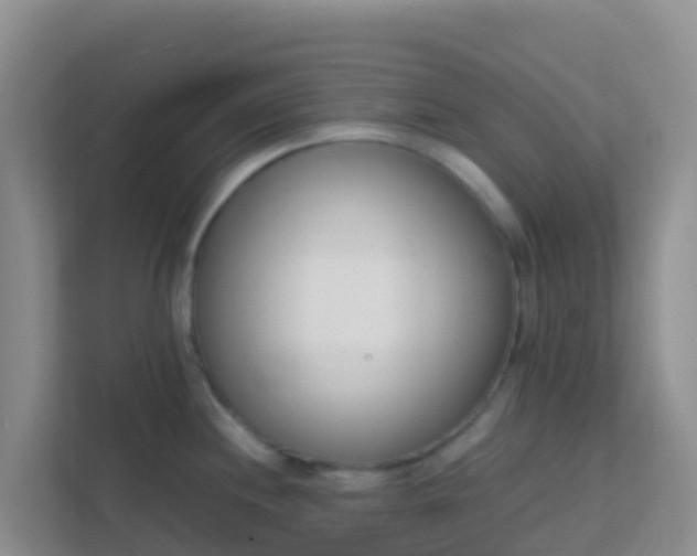 X0000111661244200907241145