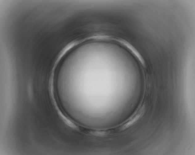 X0000111661245200907241145