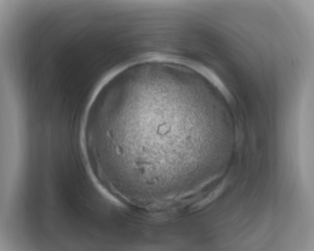 X0000111661247200907241145