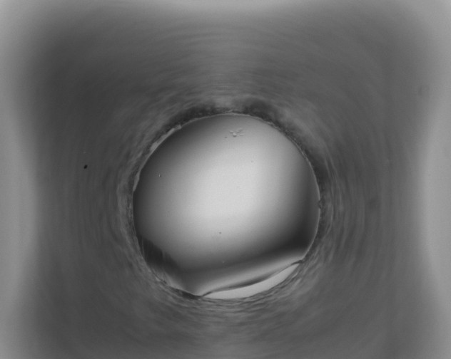 X0000111661249200907241144