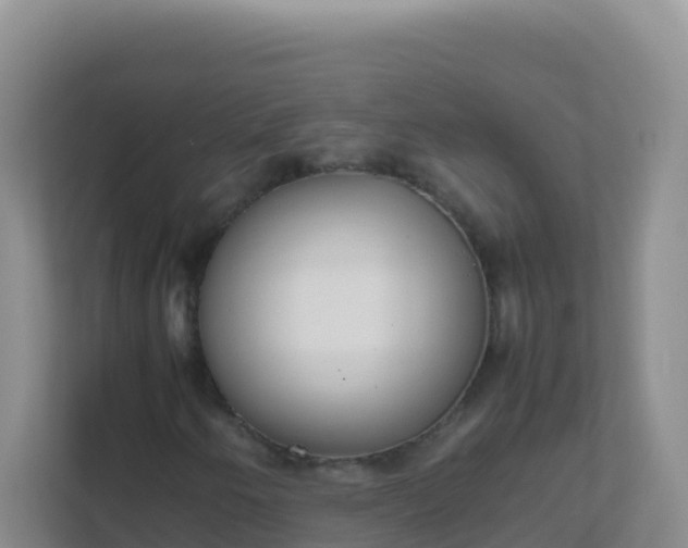 X0000111661250200907241144