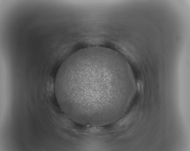 X0000111661251200907241144