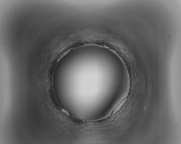 X0000111661253200907241144