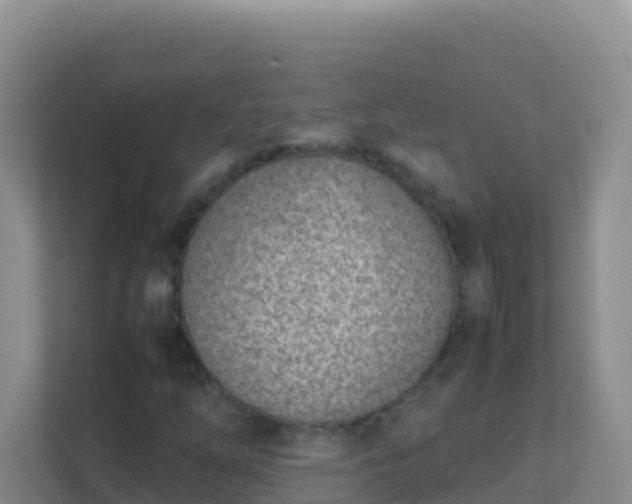 X0000111661254200907241144