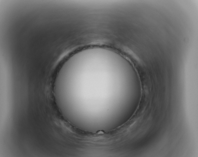 X0000111661256200907241144
