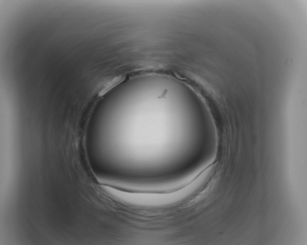 X0000111661257200907241144