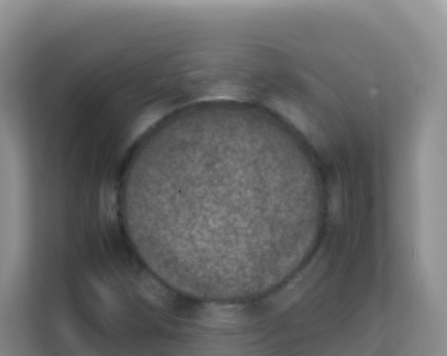 X0000111661258200907241144