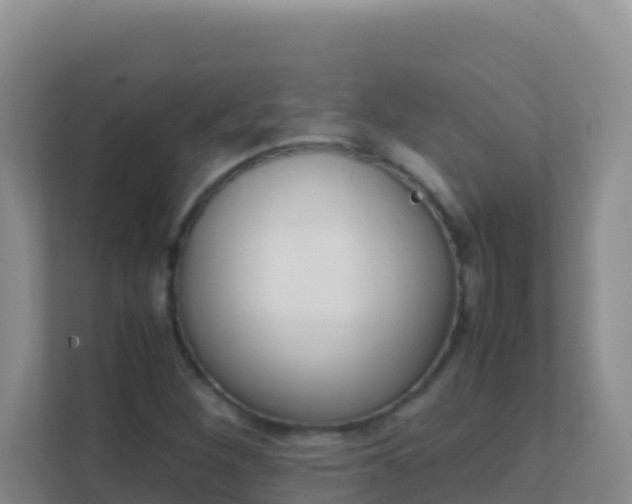 X0000111661260200907241144