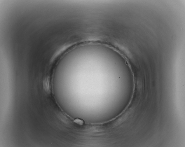 X0000111661262200907241144