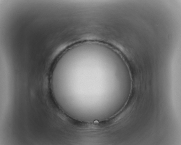 X0000111661263200907241144