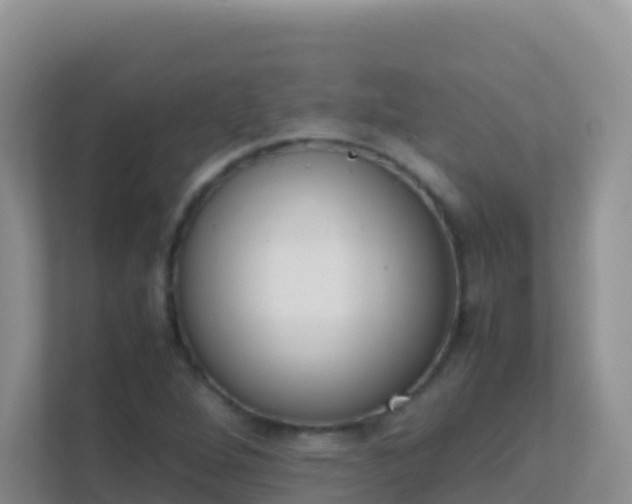 X0000111661264200907241144