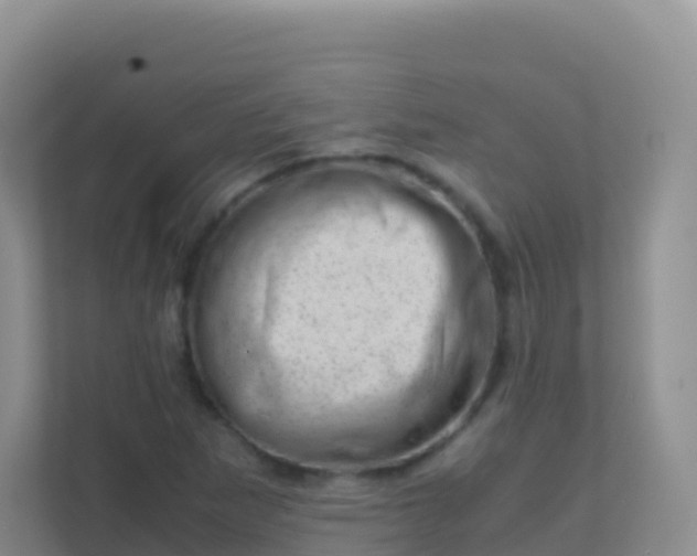 X0000111661265200907241144