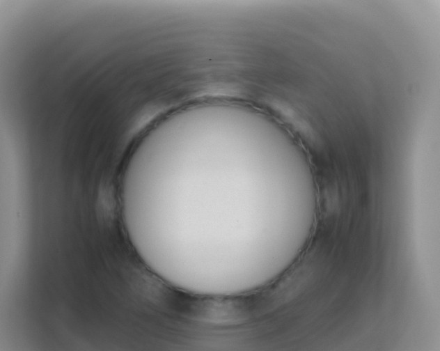 X0000111661266200907241144