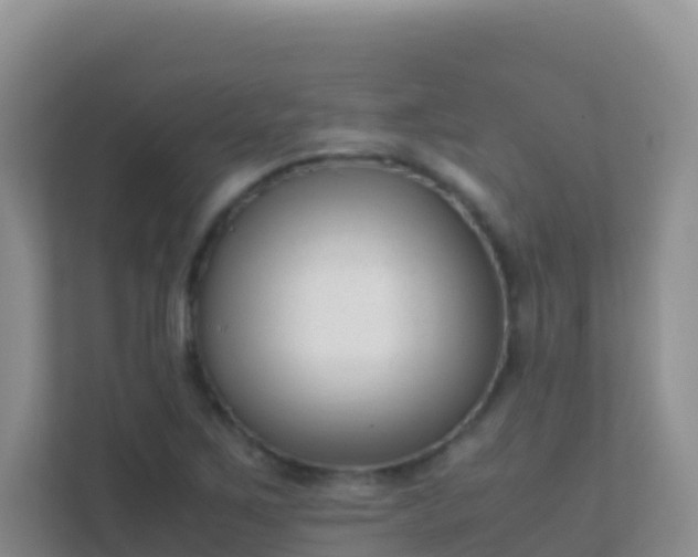 X0000111661267200907241144