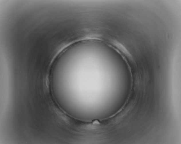X0000111661268200907241144