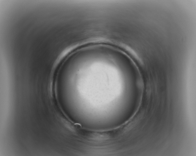 X0000111661270200907241144