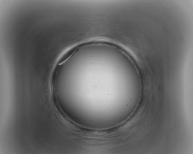 X0000111661271200907241144