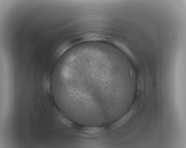 X0000111661273200907241144