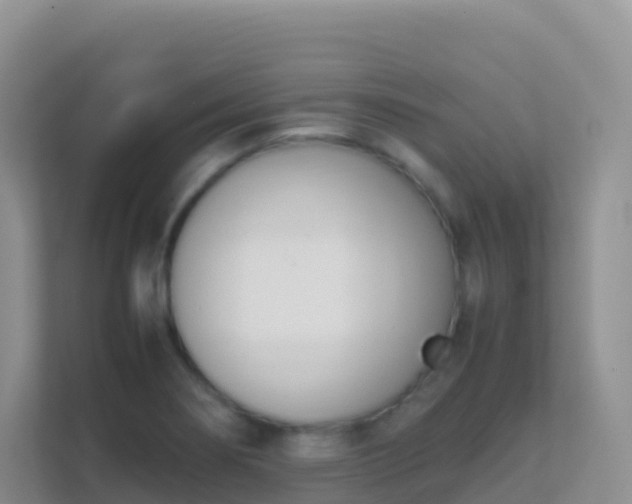 X0000111661274200907241144