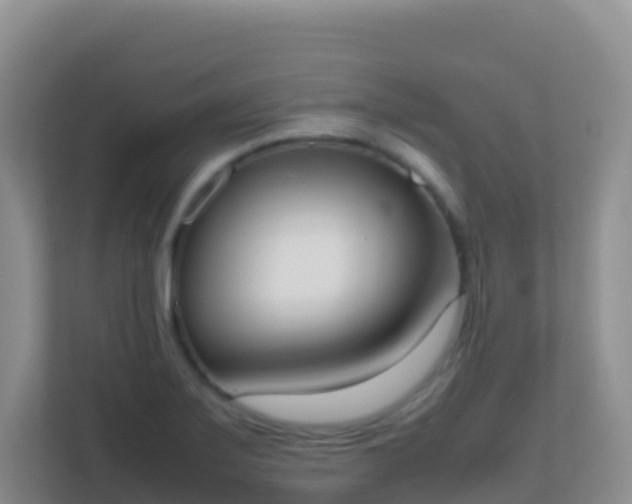 X0000111661275200907241144
