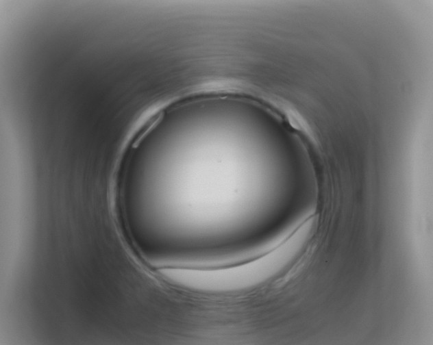 X0000111661277200907241144
