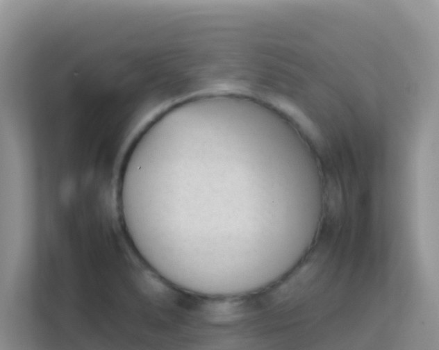 X0000111661278200907241144