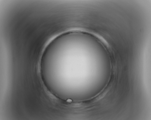 X0000111661279200907241144