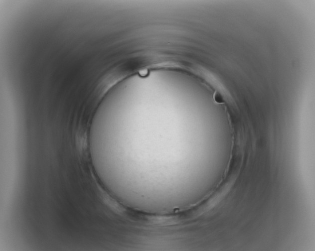 X0000111661281200907241144