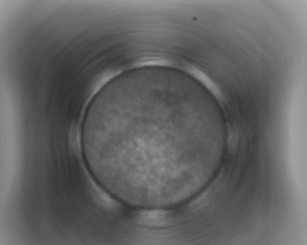 X0000111661282200907241144