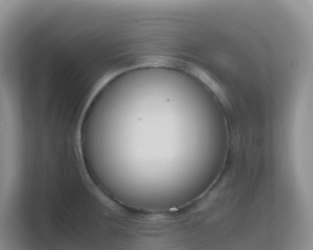 X0000111661283200907241144