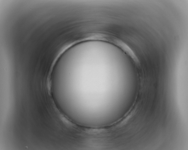 X0000111661284200907241144