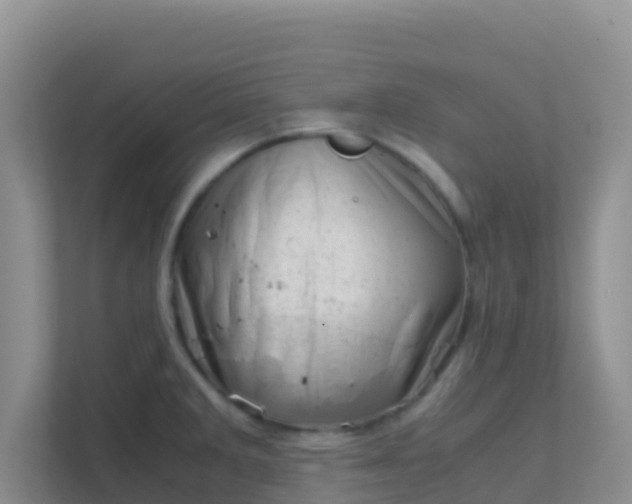 X0000111661285200907241144