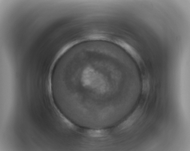X0000111661286200907241144
