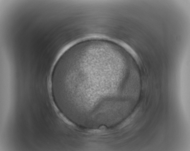 X0000111661287200907241144
