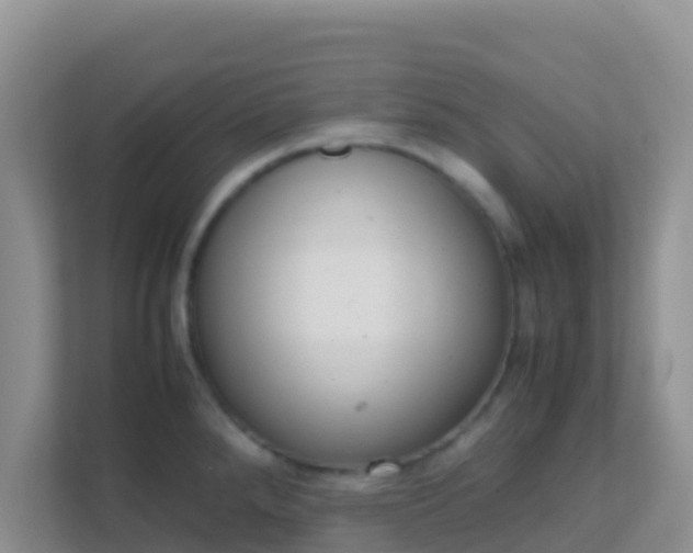 X0000111661288200907241144