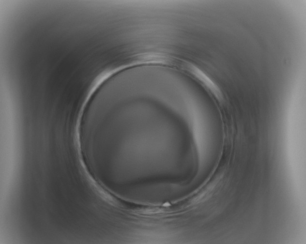 X0000111661291200907241144