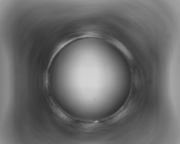 X0000111661292200907241144