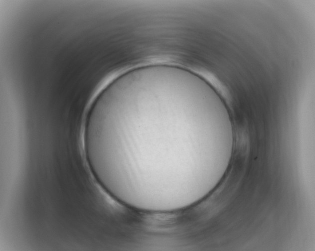 X0000111661294200907241144