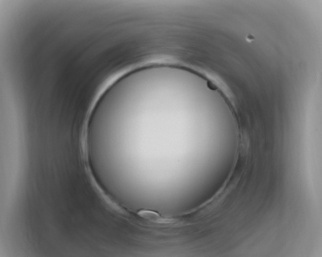 X0000111661295200907241144